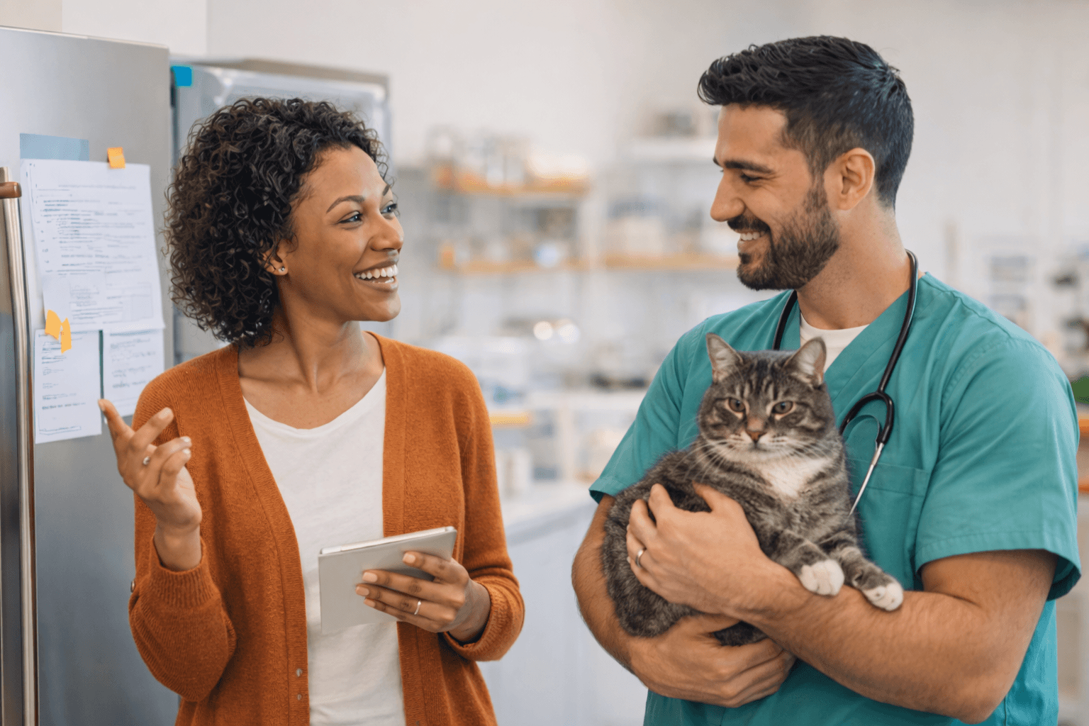 Pet emergency care at veterinarian